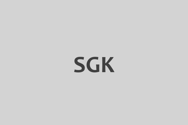 IT Company SGK