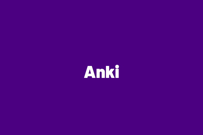 Software Firm Anki