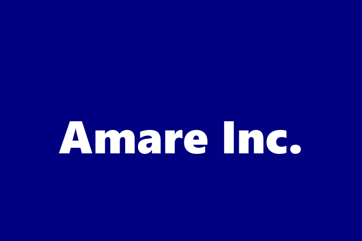 Software Consultancy Amare Inc.