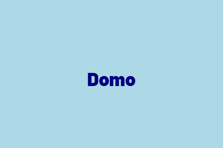 Software Services Company Domo