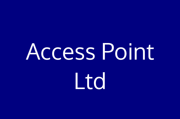 Application Development Company Access Point Ltd