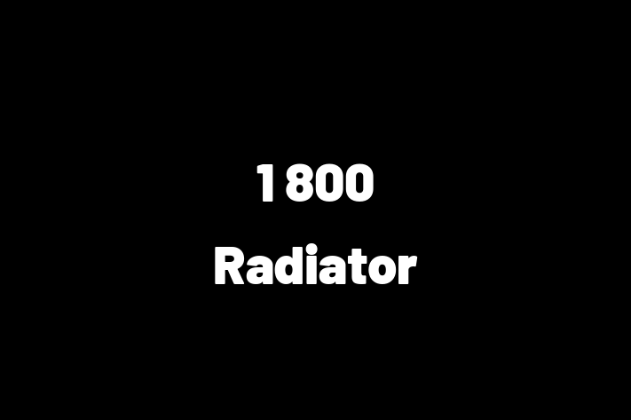 Digital Solutions Provider 1 800 Radiator