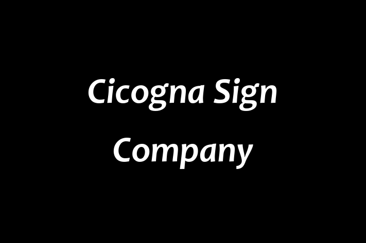 Software Consultancy Cicogna Sign Company