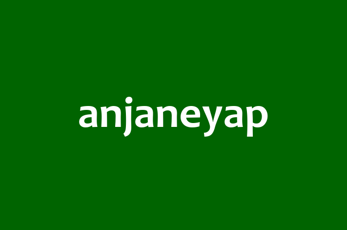 Tech Firm anjaneyap