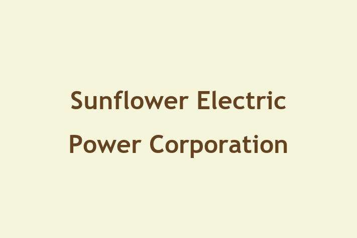 Technology Solutions Firm Sunflower Electric Power Corporation