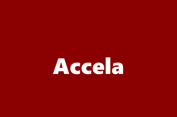 Tech Solutions Company Accela