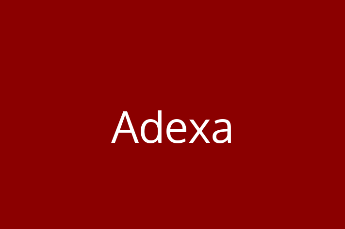 Application Development Company Adexa