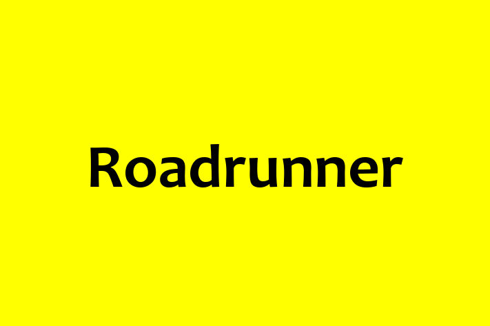 People Management Roadrunner