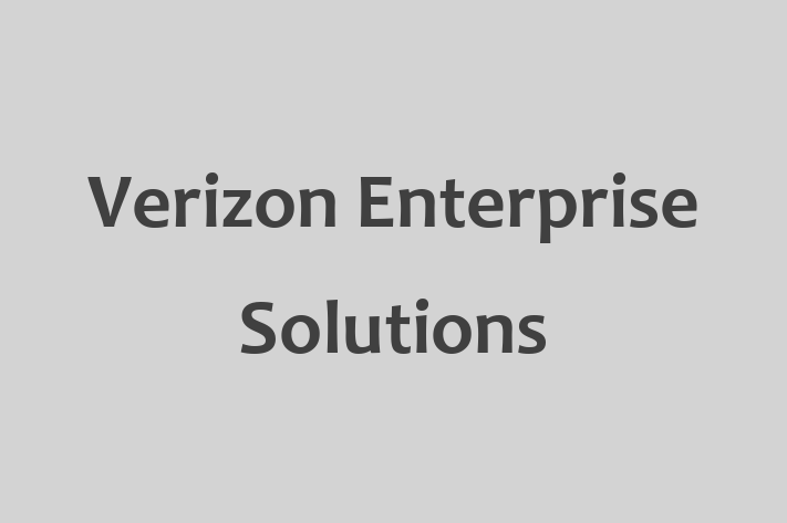 Software Engineering Company Verizon Enterprise Solutions