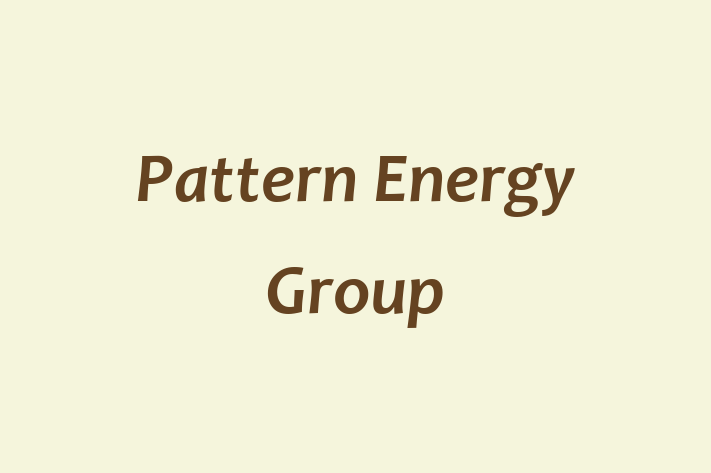 Employee Resource Management Pattern Energy Group