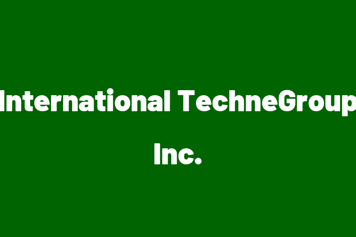 Technology Company International TechneGroup Inc.