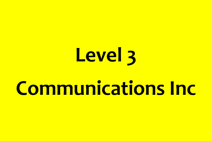 Software Consultancy Level 3 Communications Inc