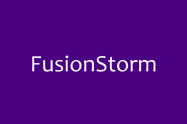 Application Development Company FusionStorm