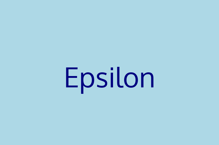 Software Development Company Epsilon