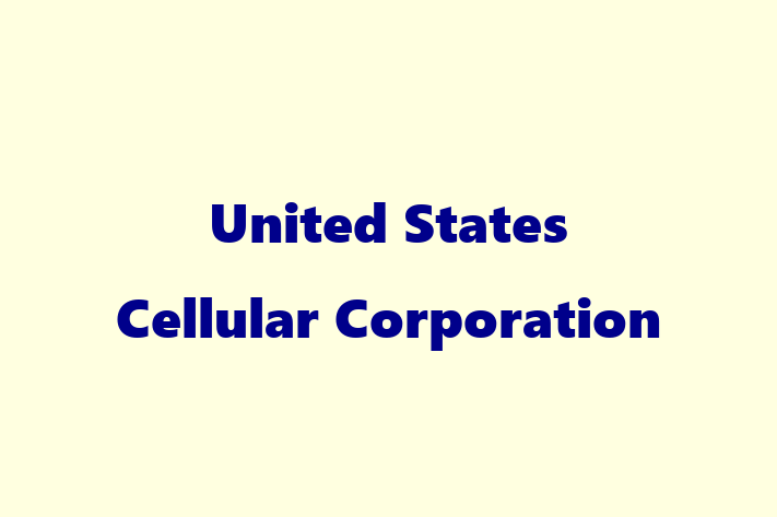 Software Solutions Provider United States Cellular Corporation