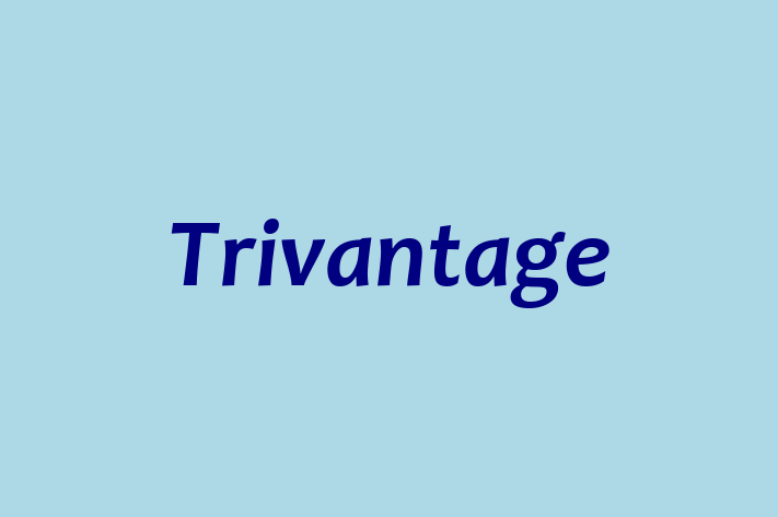 Tech Solutions Company Trivantage