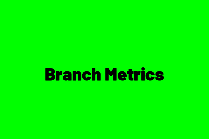 Software Development Company Branch Metrics