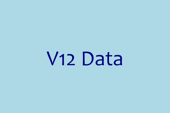 Software Services Company V12 Data