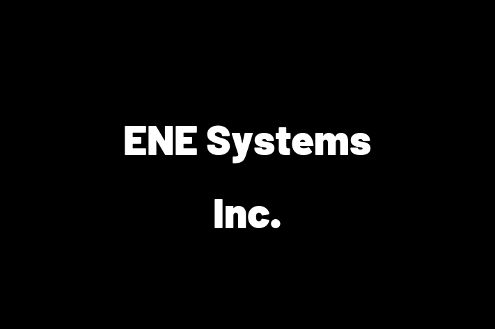 Application Development Company ENE Systems Inc.