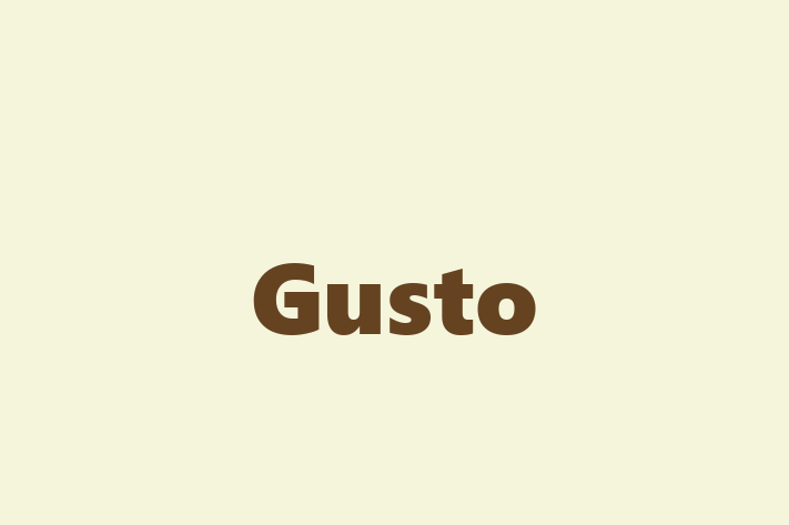 Digital Solutions Provider Gusto