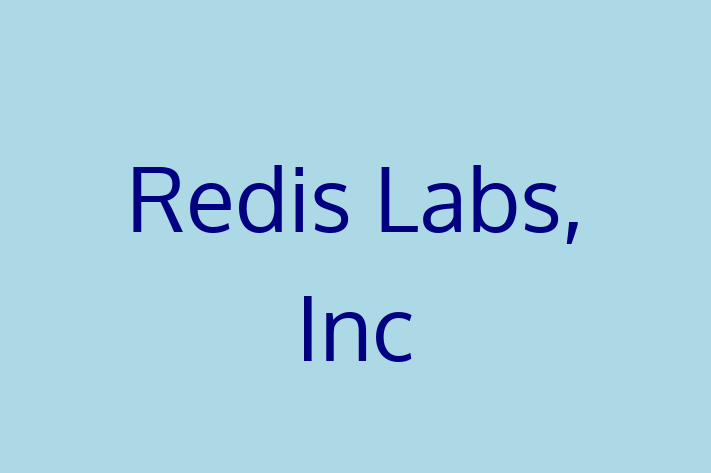 Software Solutions Provider Redis Labs Inc