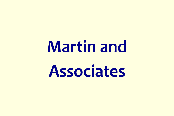 Software Development Company Martin and Associates