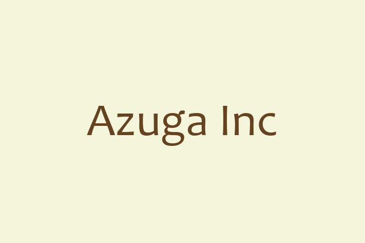 Software Engineering Company Azuga Inc