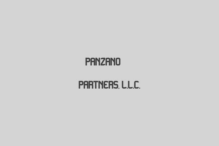 Tech Solutions Company Panzano Partners L.L.C.