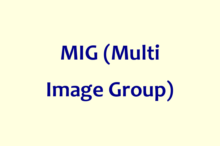 Digital Solutions Provider MIG Multi Image Group