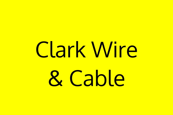 Software Services Company Clark Wire  Cable