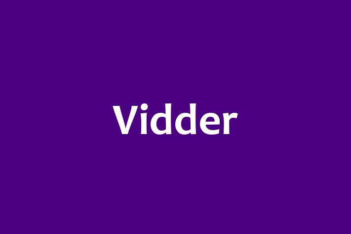 Software Solutions Provider Vidder