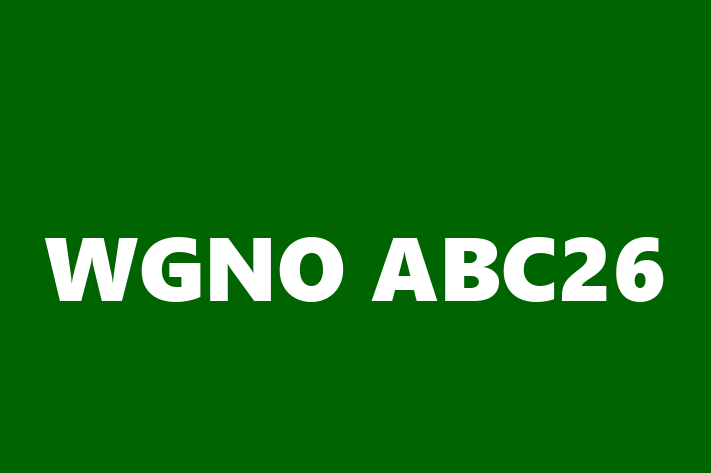 IT Company WGNO ABC26