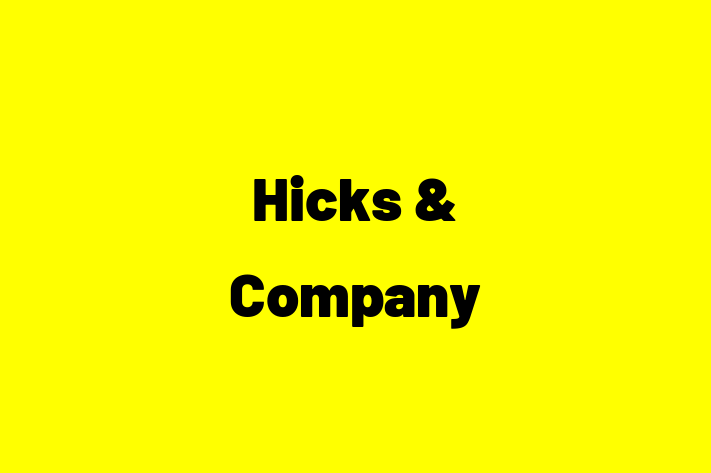 Digital Solutions Provider Hicks  Company