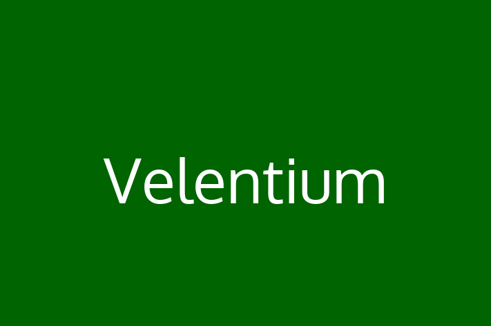 Software Services Company Velentium