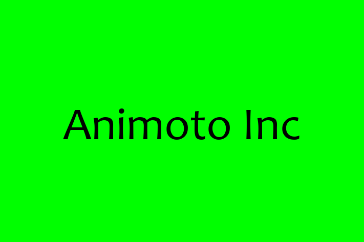 Software Consultancy Animoto Inc