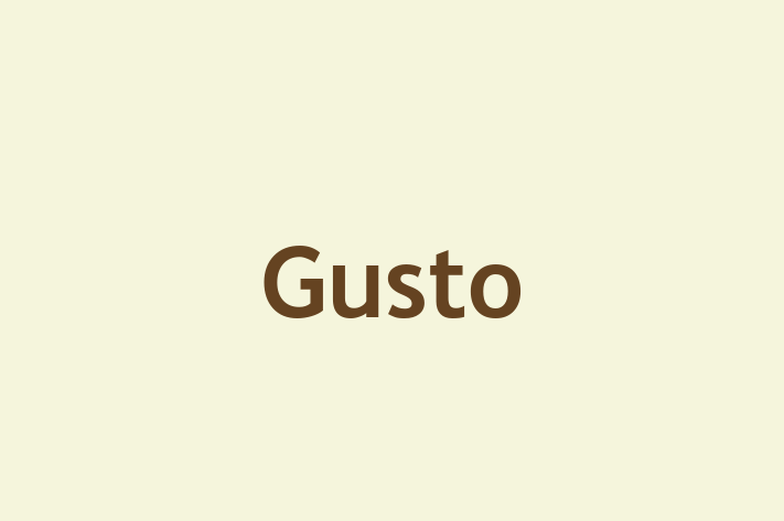 Software Consultancy Gusto