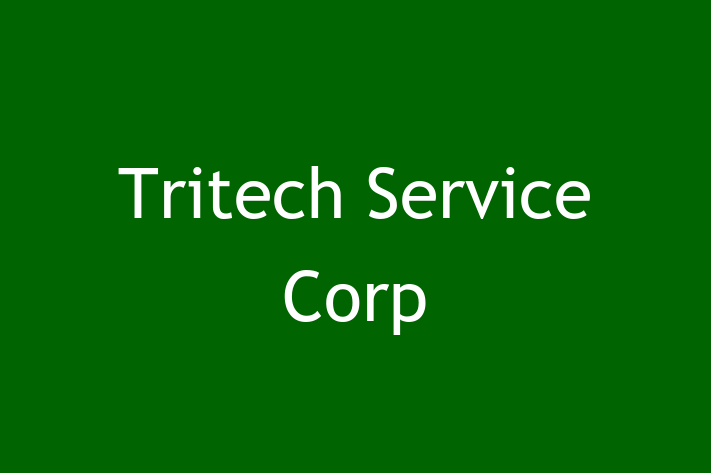 IT Company Tritech Service Corp