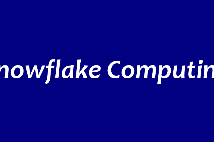 Software Engineering Company Snowflake Computing