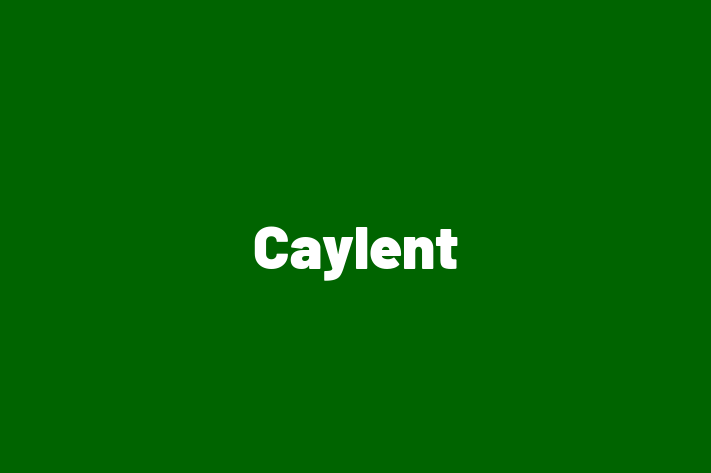 Talent Management Caylent