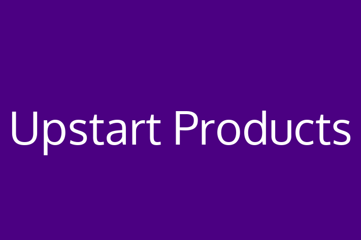 IT Company Upstart Products