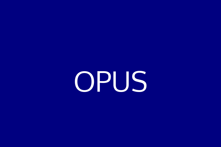 Software Development Company OPUS