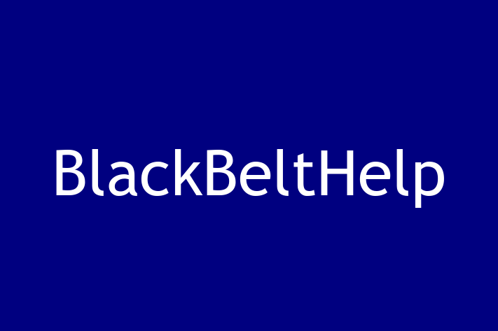 Tech Firm BlackBeltHelp