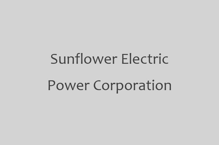 Technology Company Sunflower Electric Power Corporation