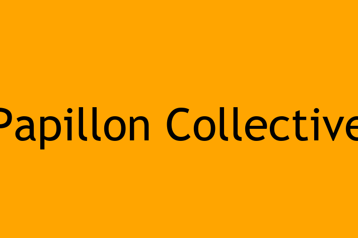 Software Firm Papillon Collective