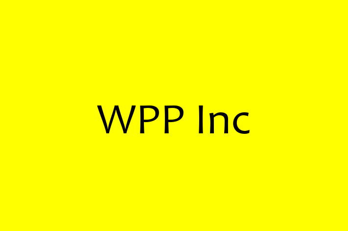 Software Engineering Company WPP Inc