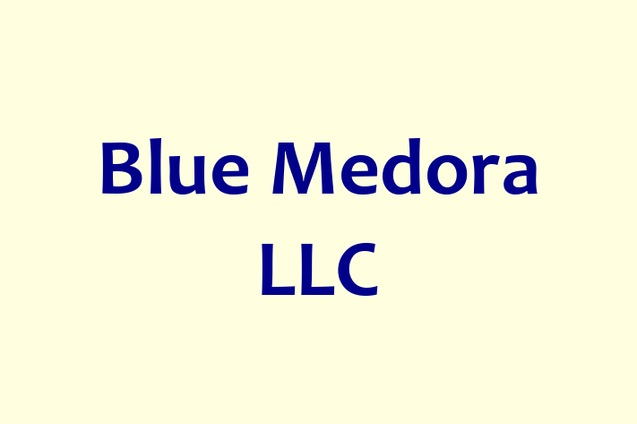 Software Consultancy Blue Medora LLC