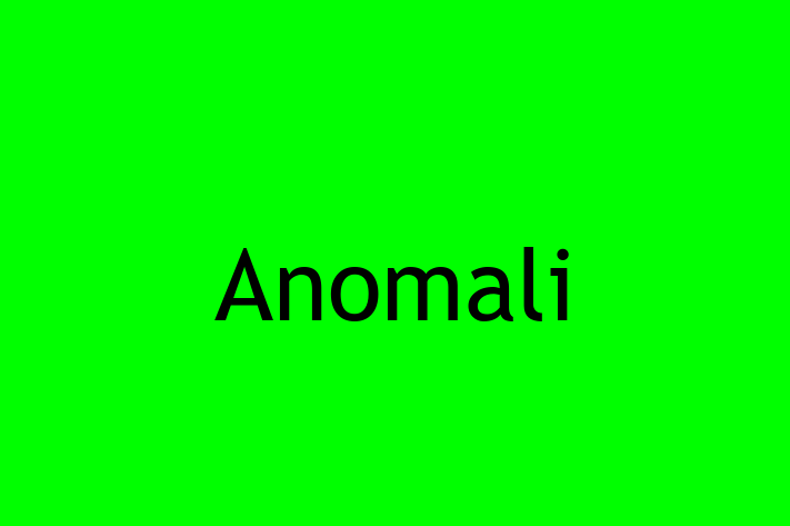 Application Development Company Anomali