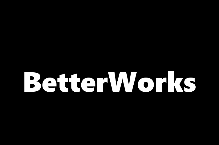 Software Development Company BetterWorks