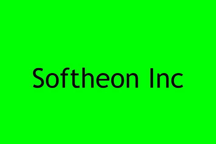 Software Services Company Softheon Inc