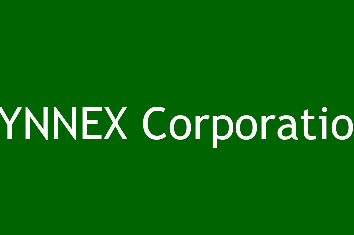 Software Consultancy SYNNEX Corporation